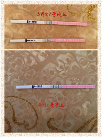 journal_insert_pic_706853596