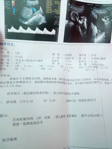 journal_insert_pic_706985928