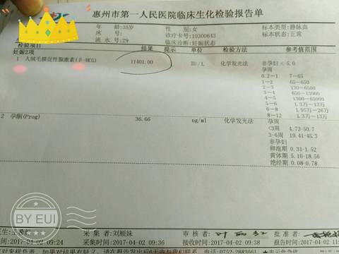 journal_insert_pic_707639037