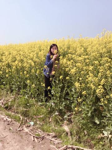 journal_insert_pic_707593765