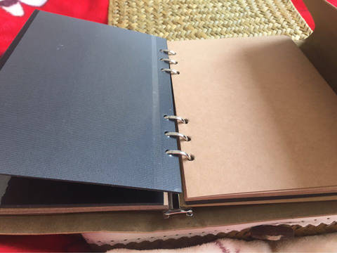journal_insert_pic_707747541