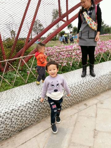 journal_insert_pic_707405139