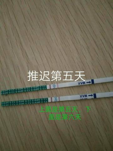journal_insert_pic_707490760