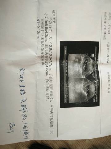 journal_insert_pic_708421476