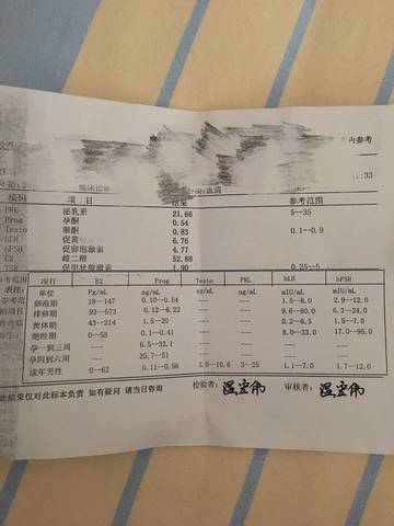 journal_insert_pic_708413939