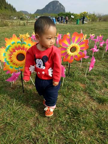 journal_insert_pic_708794940