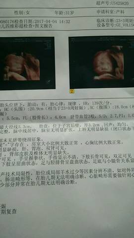 journal_insert_pic_709327573