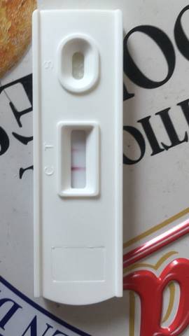 journal_insert_pic_709377739