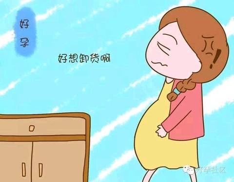 journal_insert_pic_709097855