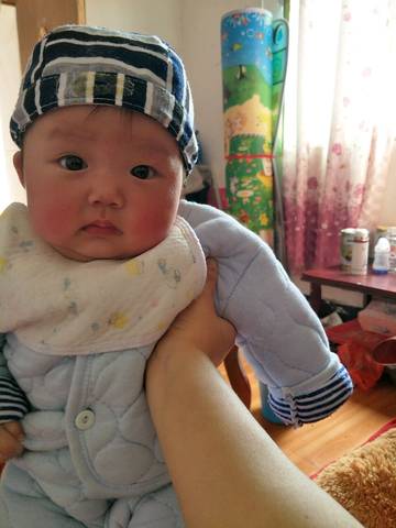 journal_insert_pic_709166349