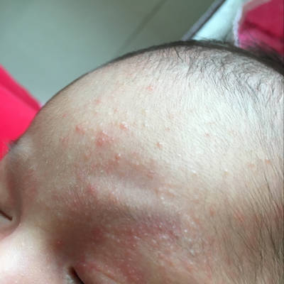 journal_insert_pic_710068832