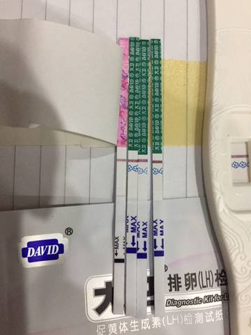 journal_insert_pic_711428500