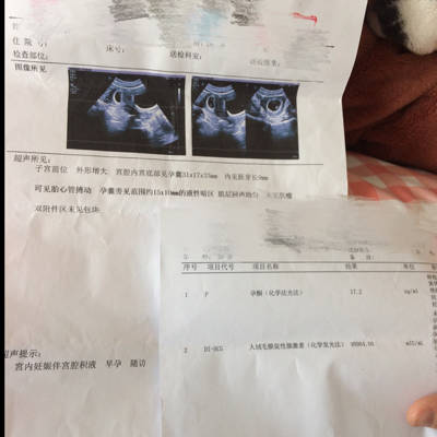 journal_insert_pic_710852181