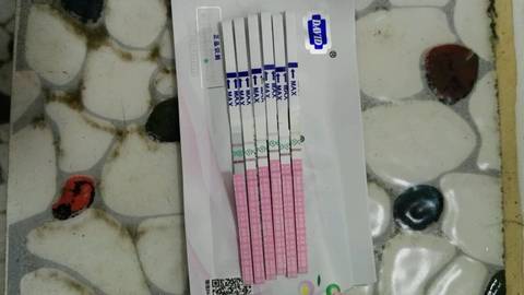 journal_insert_pic_710974908