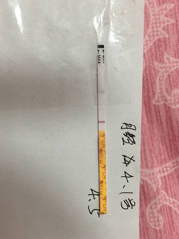 journal_insert_pic_710745109