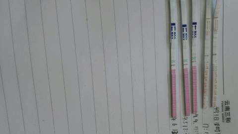 journal_insert_pic_711303960