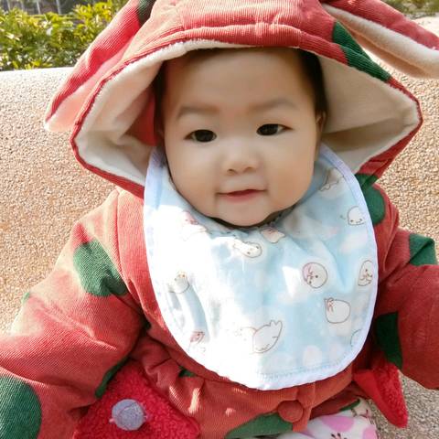 journal_insert_pic_711095309