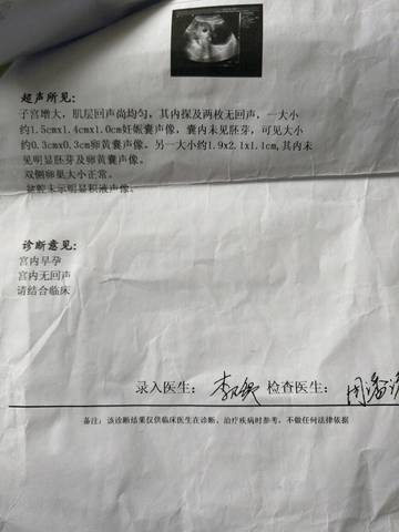 journal_insert_pic_713811237