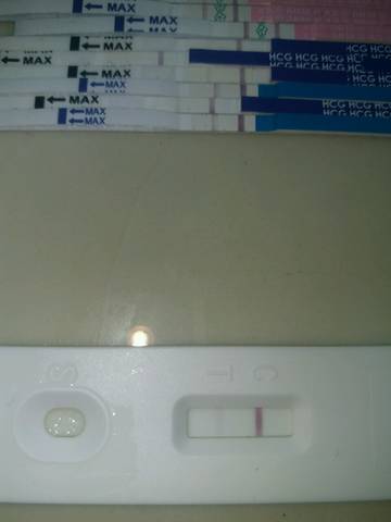 journal_insert_pic_714312933