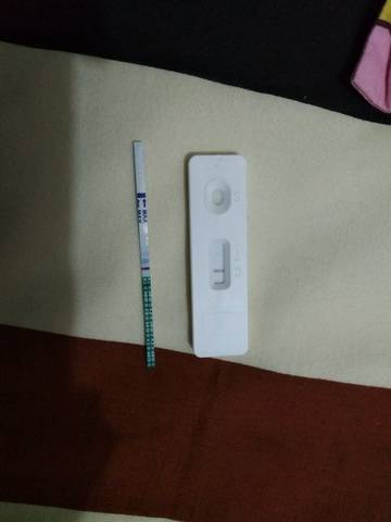 journal_insert_pic_714641243