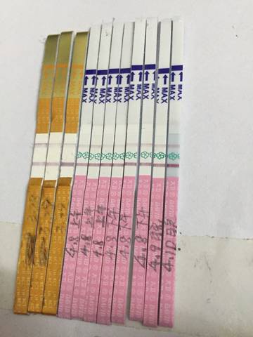 journal_insert_pic_714892965