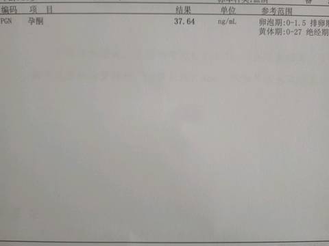 journal_insert_pic_714559843