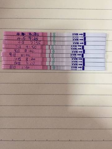 journal_insert_pic_715258467