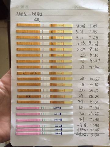 journal_insert_pic_715258459