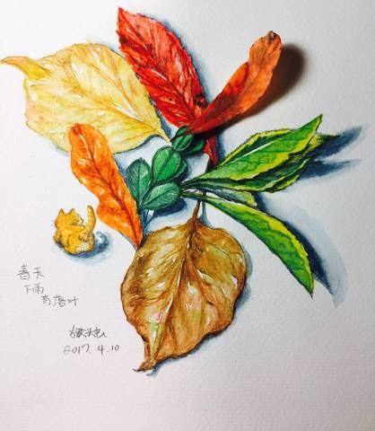 journal_insert_pic_715571905