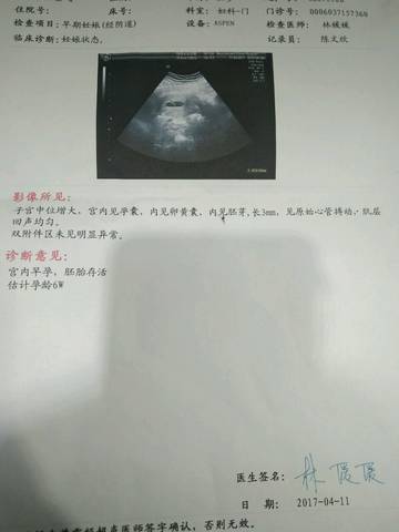 journal_insert_pic_715583032