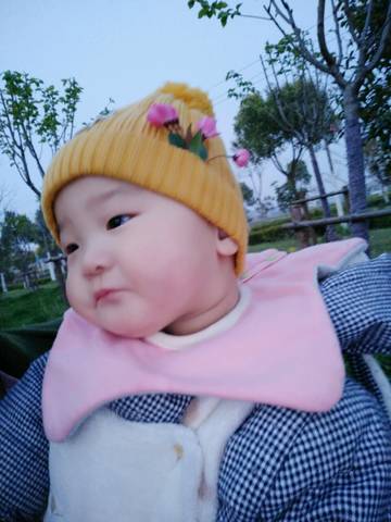 journal_insert_pic_716456913