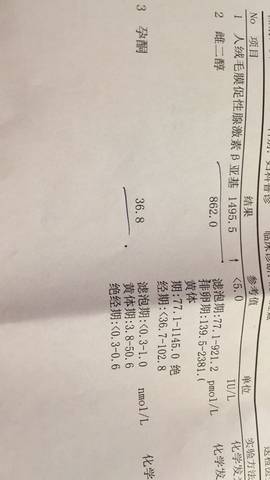 journal_insert_pic_716739235