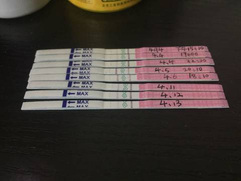 journal_insert_pic_717338312