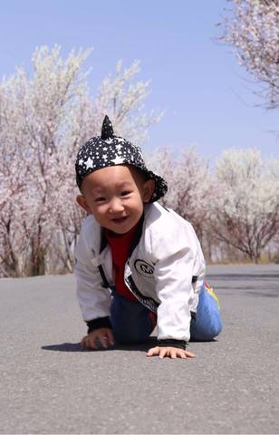 journal_insert_pic_717379159