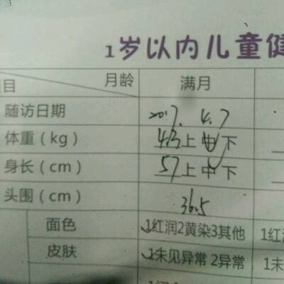 journal_insert_pic_717048516