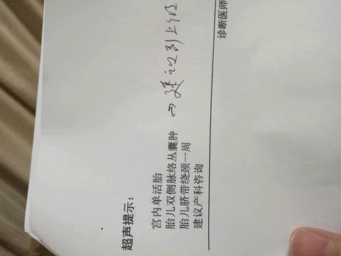 journal_insert_pic_717917363