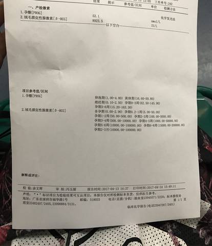 journal_insert_pic_717946826
