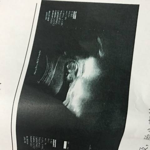 journal_insert_pic_718951151