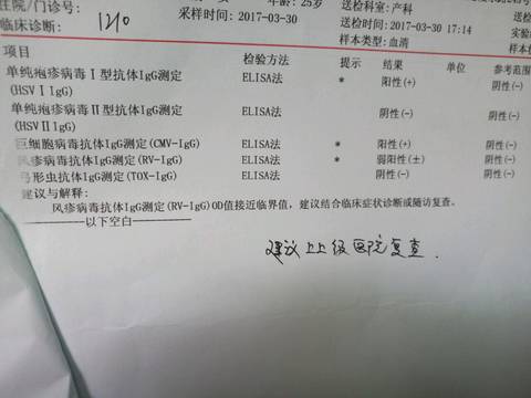journal_insert_pic_718524716