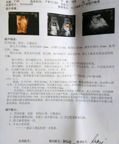 journal_insert_pic_719476539
