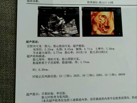 journal_insert_pic_719338815