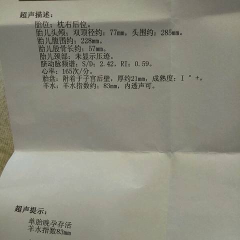 journal_insert_pic_720509263