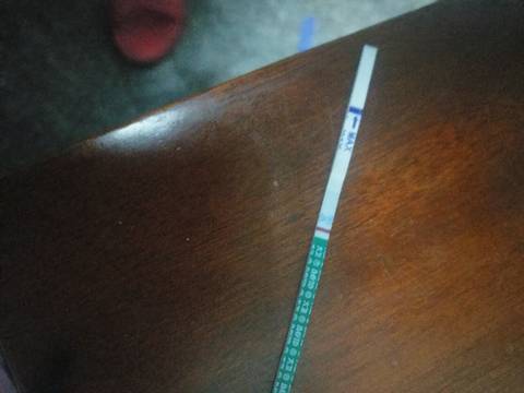 journal_insert_pic_720085314