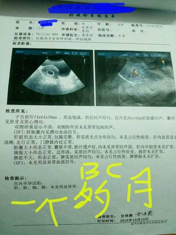 journal_insert_pic_720597358