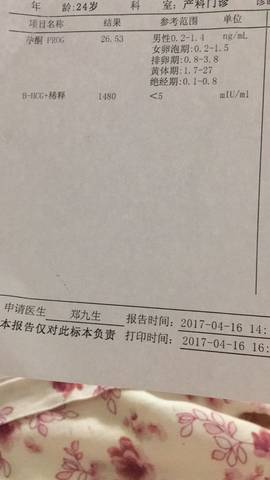 journal_insert_pic_721226711
