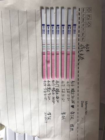 journal_insert_pic_721214454