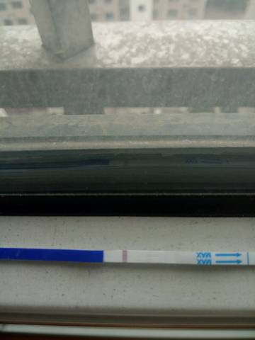 journal_insert_pic_722099062