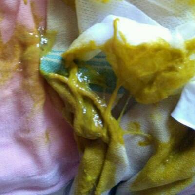 journal_insert_pic_722059254