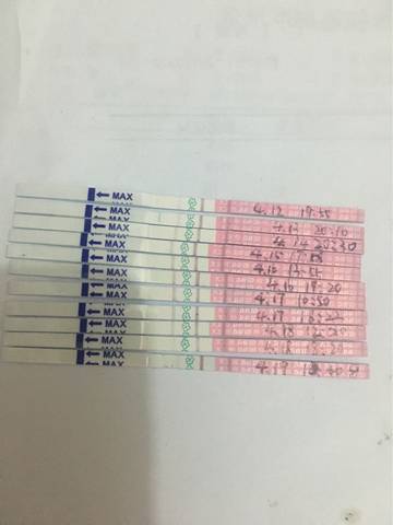 journal_insert_pic_722256543