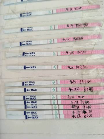 journal_insert_pic_724111750